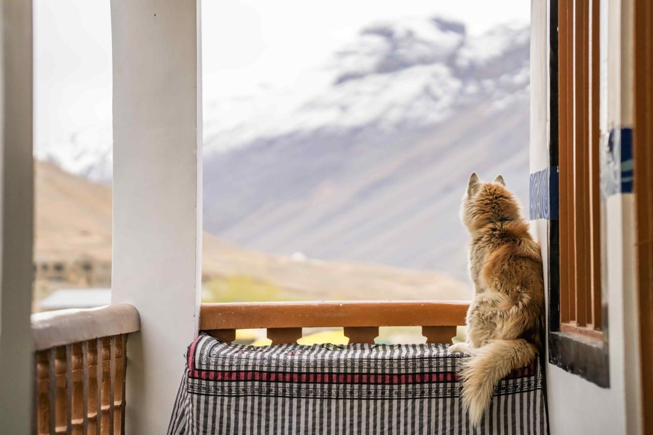 Hostel Zostel Spiti Kaza Zewnętrze zdjęcie